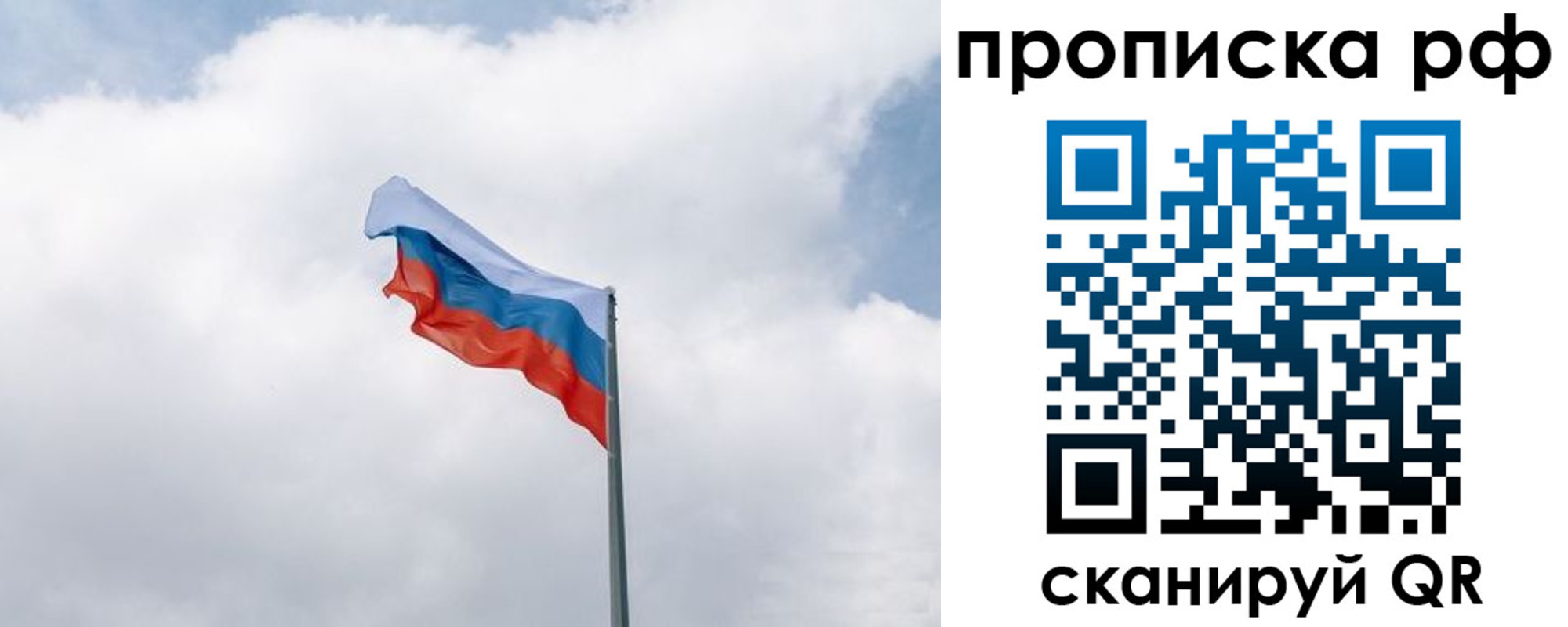 прописка гарантия в Сольцах