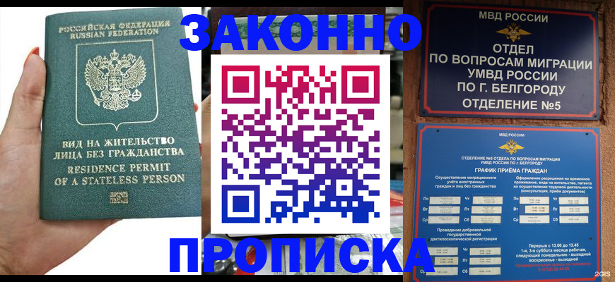 прописка для кредита в Сольцах